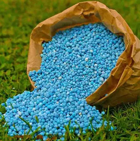 راهنمای خرید و انتخاب&nbsp;