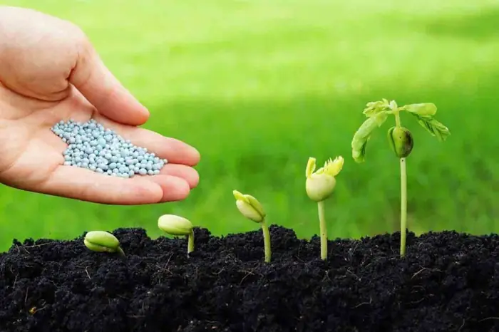 کود پتاسیم برای گیاهان