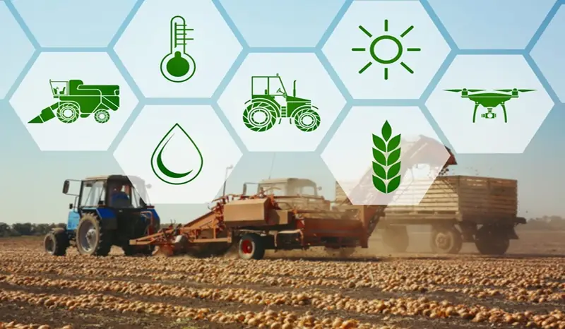 علائم کمبود پتاسیم
